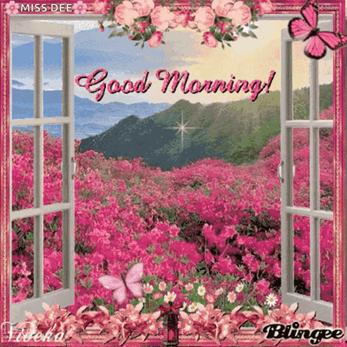 Good Morning Flower GIF