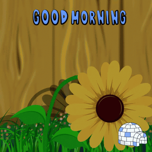 Good Morning Flower GIF