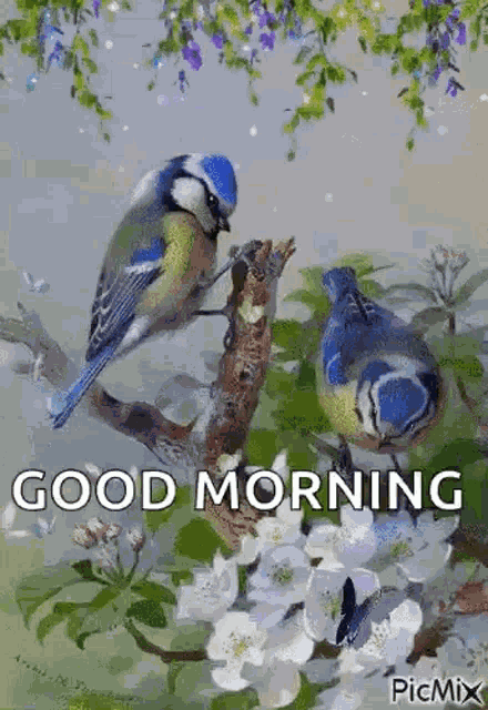 Good Morning Flowers GIF