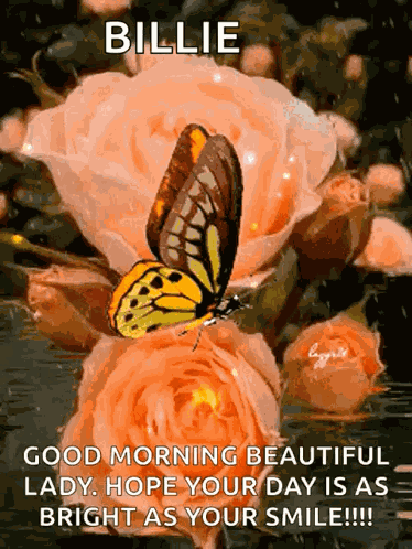 Good Morning Flowers GIF