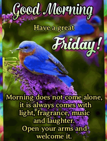 Good Morning Friday GIF
