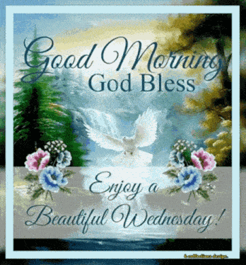 Good Morning Friend GIF