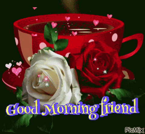 Good Morning Friend Good Morning Love GIF