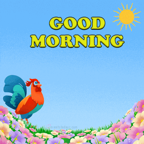 Good Morning GIF