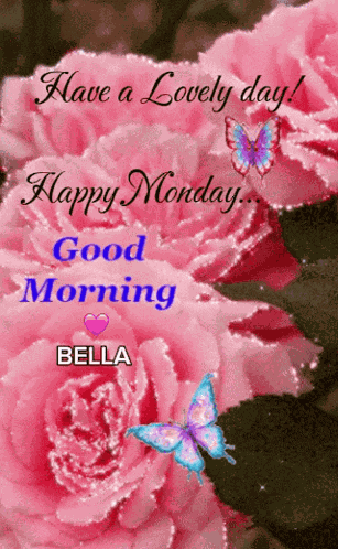 Good Morning GIF