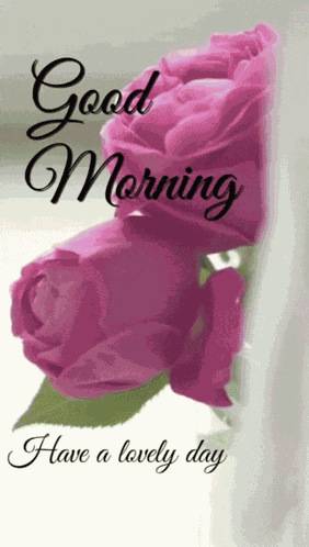 Good Morning Gif Flowers GIF