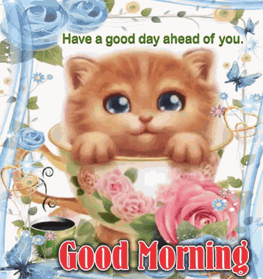 Good Morning Good Day GIF