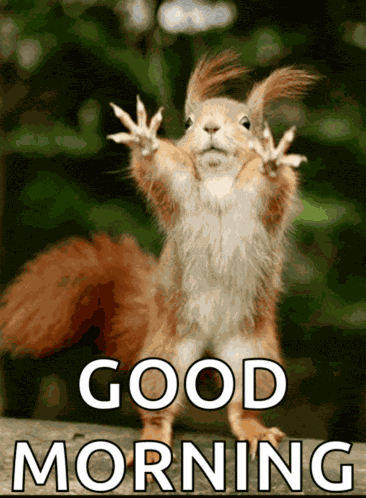 Good Morning Good Morning Funny Meme