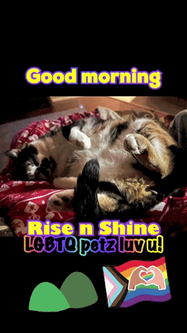 Good Morning Good Morning Funny GIF