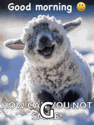 Good Morning Good Morning Love Meme