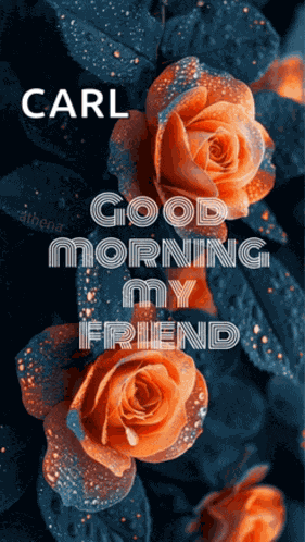 Good Morning Good Morning My Love Meme