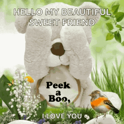 Good Morning Good Morning To You GIF