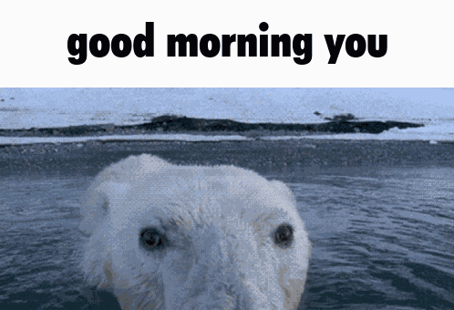 Good Morning Good Morning You GIF