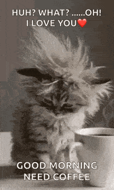 Good Morning Goodmorning GIF