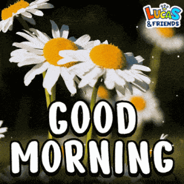 Good Morning Goodmorning GIF