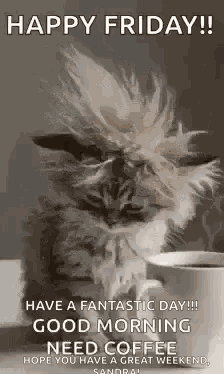 Good Morning Goodmorning GIF