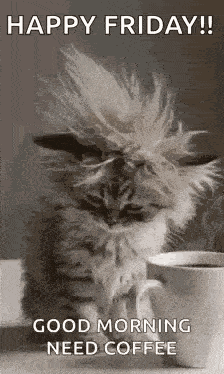 Good Morning Goodmorning GIF