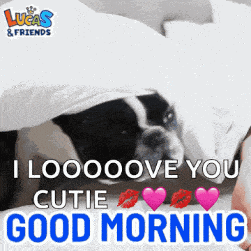 Good Morning Goodmorning GIF