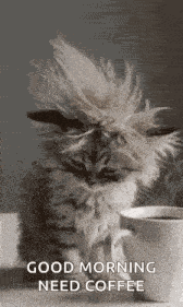 Good Morning Goodmorning GIF