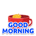 Good Morning Goodmorning Sticker