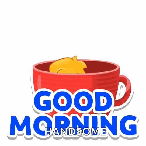 Good Morning Goodmorning GIF