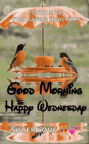 Good Morning Happy Wednesday GIF