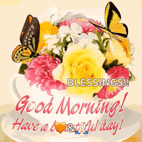 Good Morning Have A Beautiful Day GIF