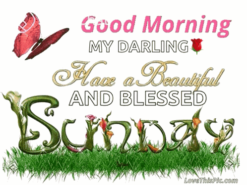 Good Morning Have A Beautiful Sunday GIF