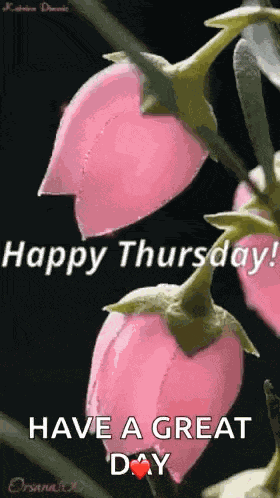 Good Morning Have A Great Day GIF