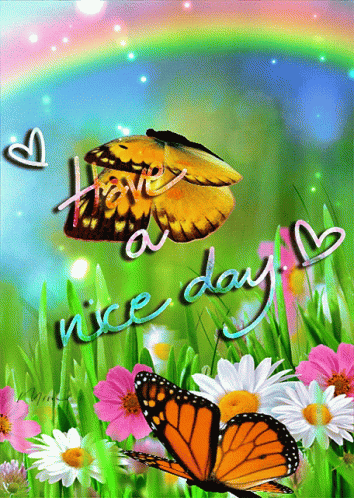 Good Morning Have A Nice Day GIF