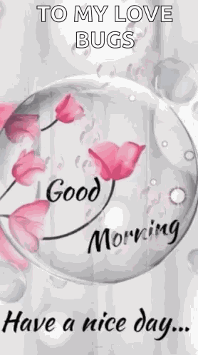 Good Morning Have A Nice Day GIF