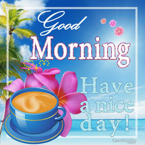Good Morning Have A Nice Day GIF