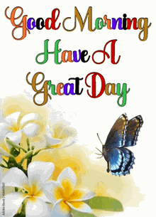 Good Morning Have A Nice Day GIF