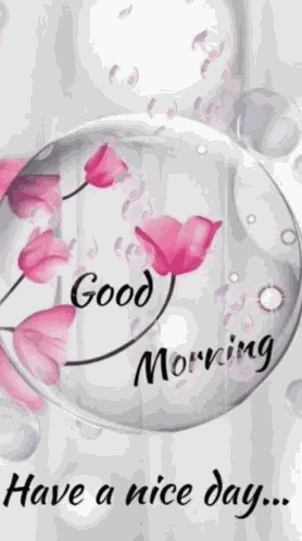 Good Morning Have A Nice Day GIF