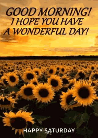 Good Morning Have A Wonderful Day GIF