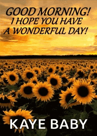 Good Morning Have A Wonderful Day GIF