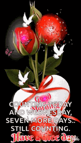 Good Morning Have Nice Day GIF