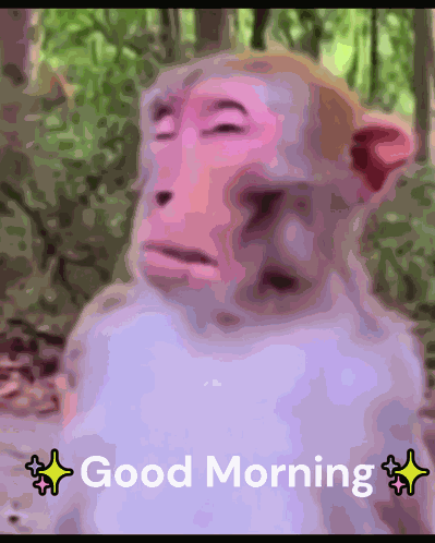 Good Morning Hello GIF