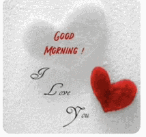 Good Morning I Love You Gif Meme