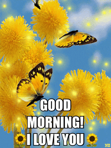 Good Morning I Love You GIF