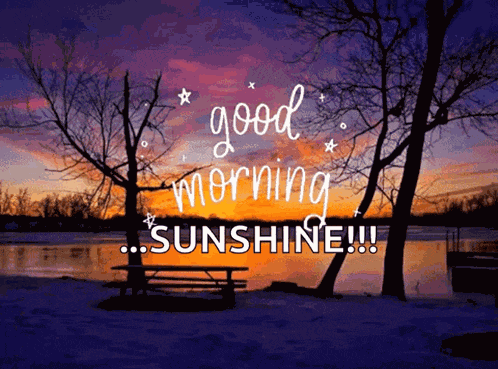 Good Morning GIF