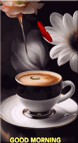 Good Morning GIF