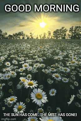 Good Morning GIF