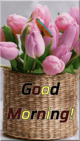 Good Morning Images GIF