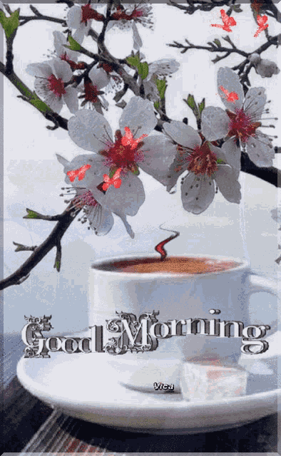 Good Morning Images GIF