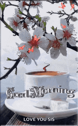 Good Morning Images GIF