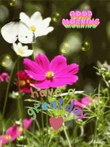 Good Morning Images New 2023 GIF