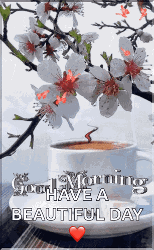 Good Morning Images GIF
