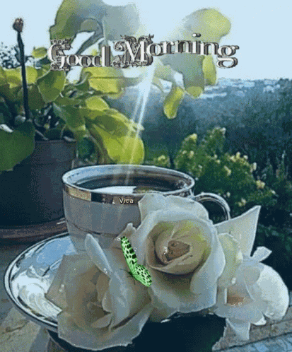 Good Morning Images GIF