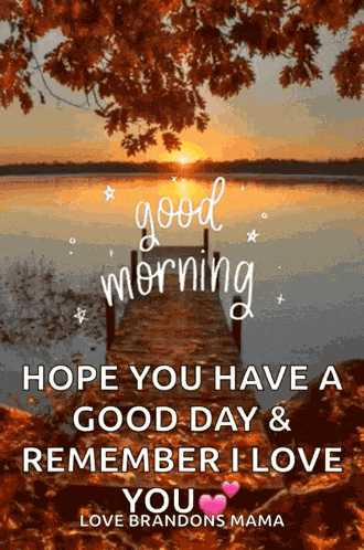 Good Morning GIF